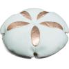 Green Sand Dollar