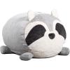 Rocky Raccoon